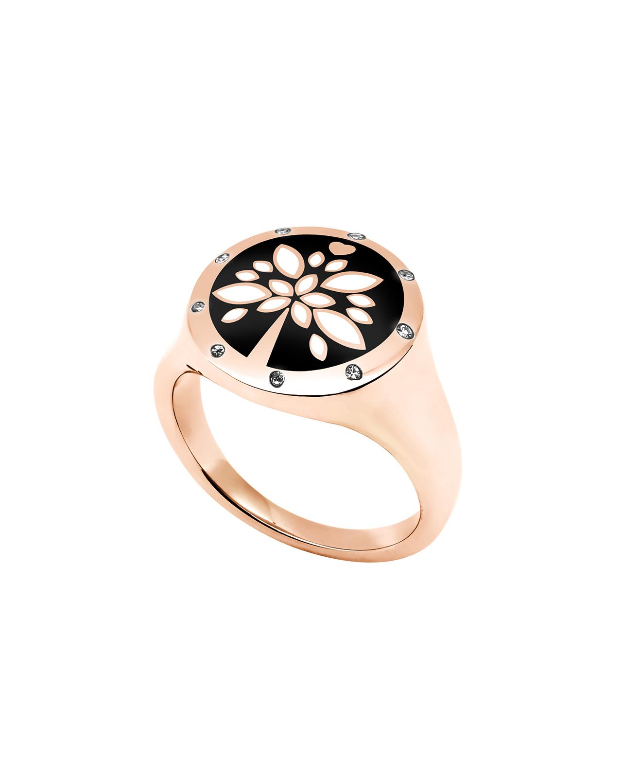 Packshot Alberina Rosa